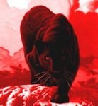 pic for PANTHER IN RED
